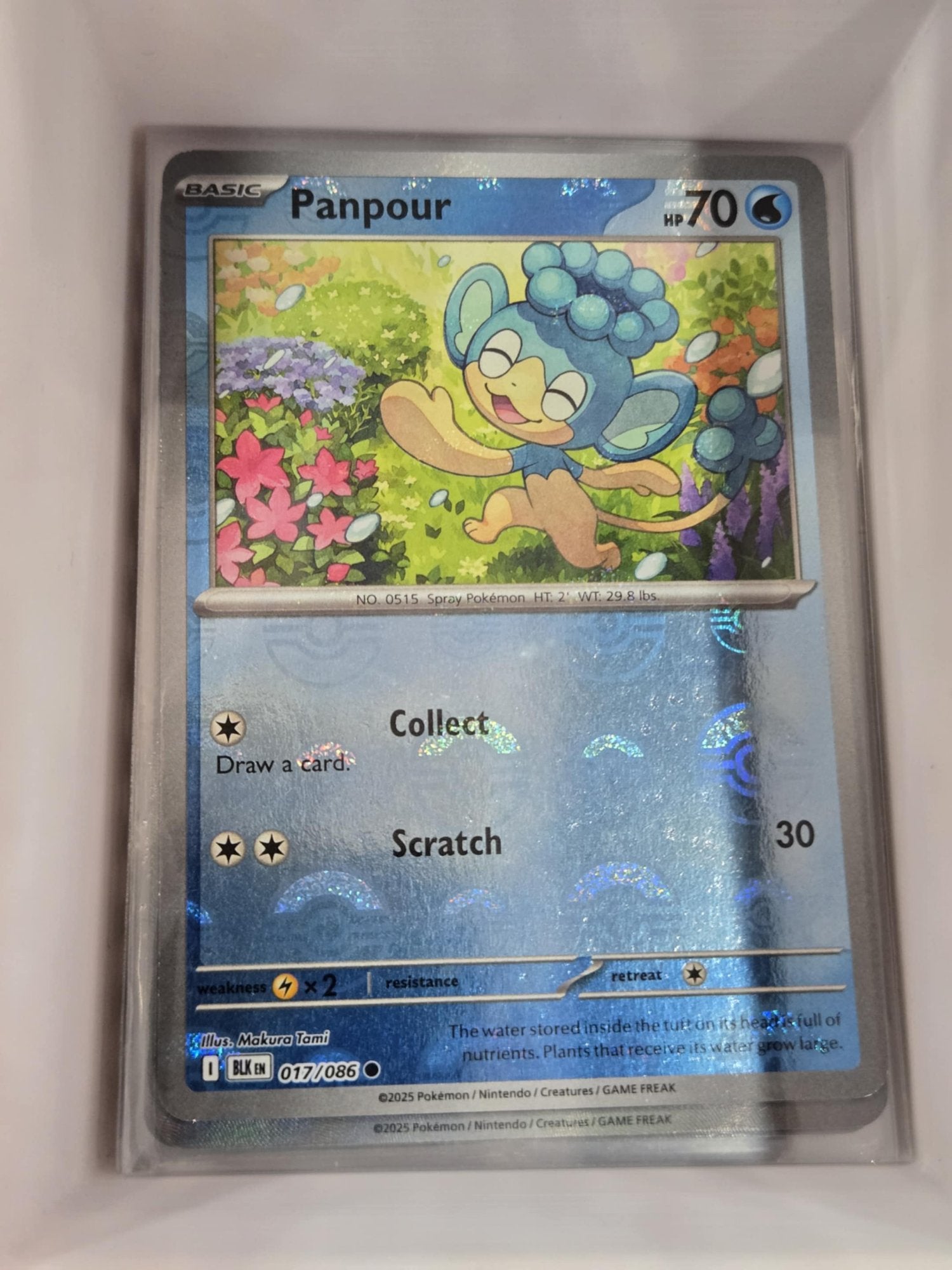 Image of Panpour Black Bolt (BLK) #17