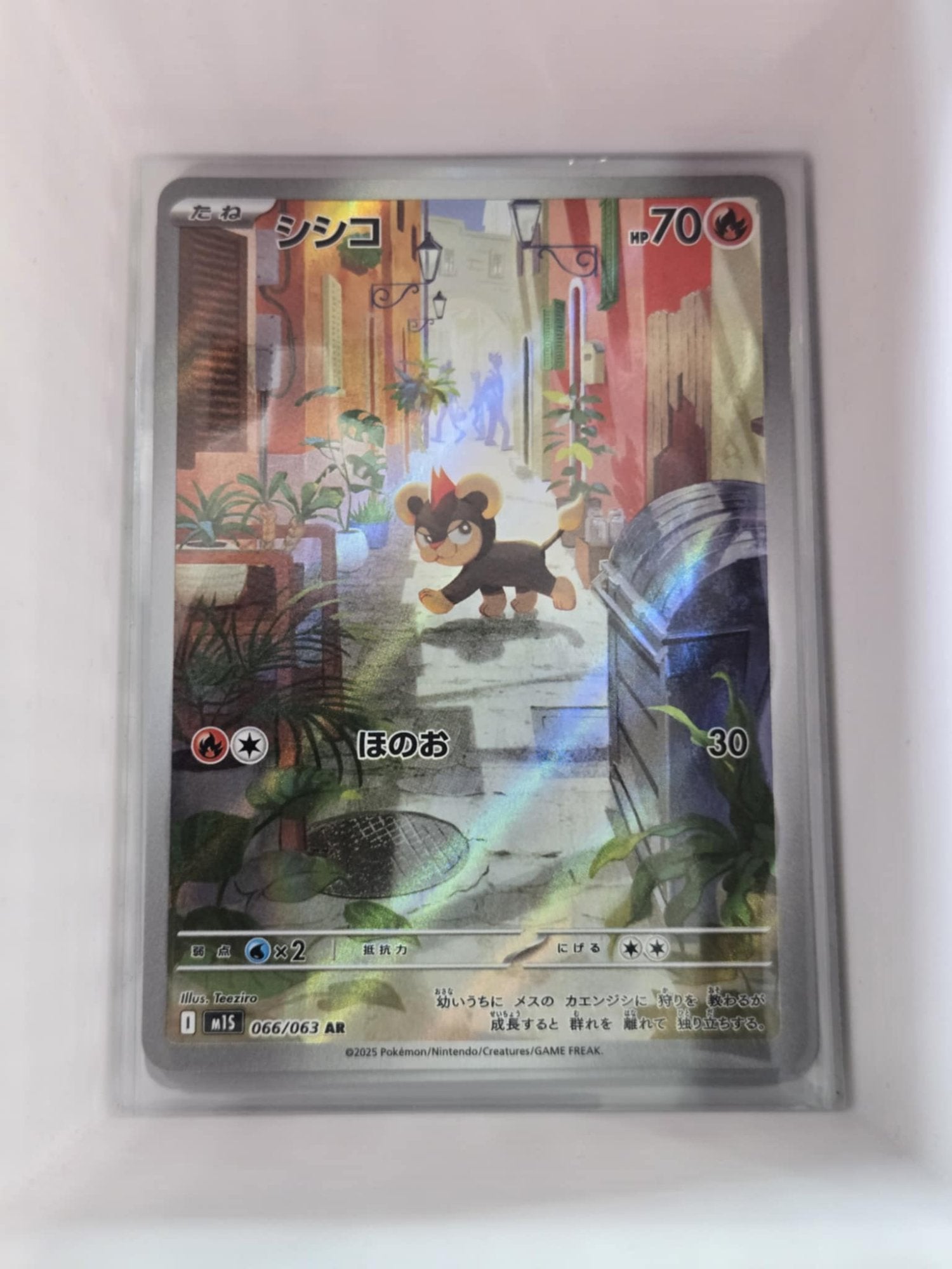 Image of Litleo Mega Symphonia (M1S) #66