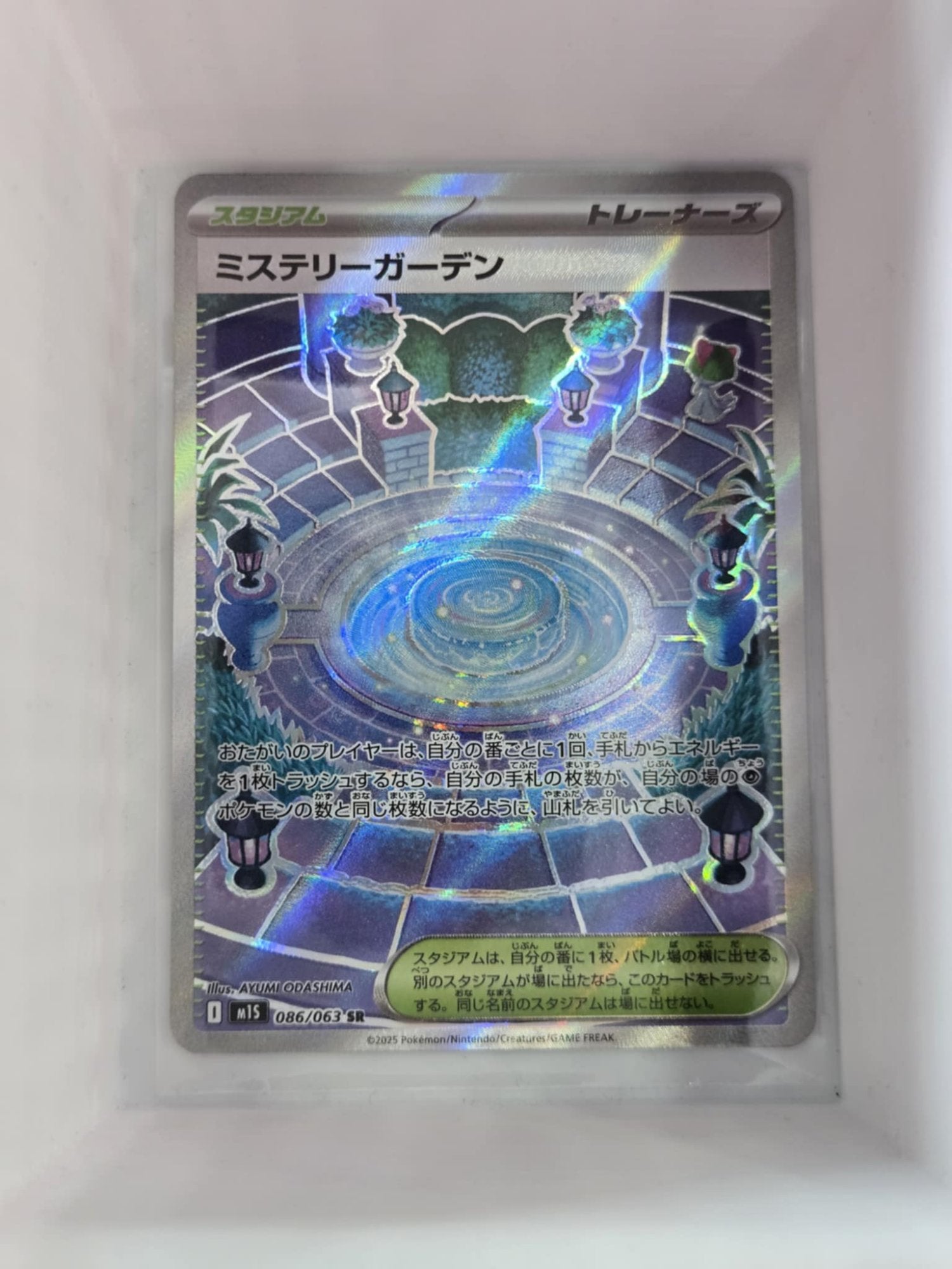 Image of Mystery Garden Mega Evoloution (MEG) #172