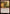 Image of Heartfire Hero Bloomburrow (BLB) #138