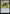 Image of Patchwork Banner Bloomburrow (BLB) #247