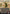 Image of Beza, the Bounding Spring Bloomburrow (BLB) #287
