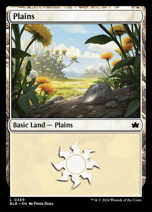 Image of Plains - 369 C-AW
