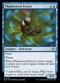 Image of Plumecreed Escort - 65 C-AW