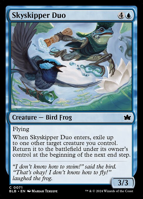 Image of Skyskipper Duo - 71 C-AW