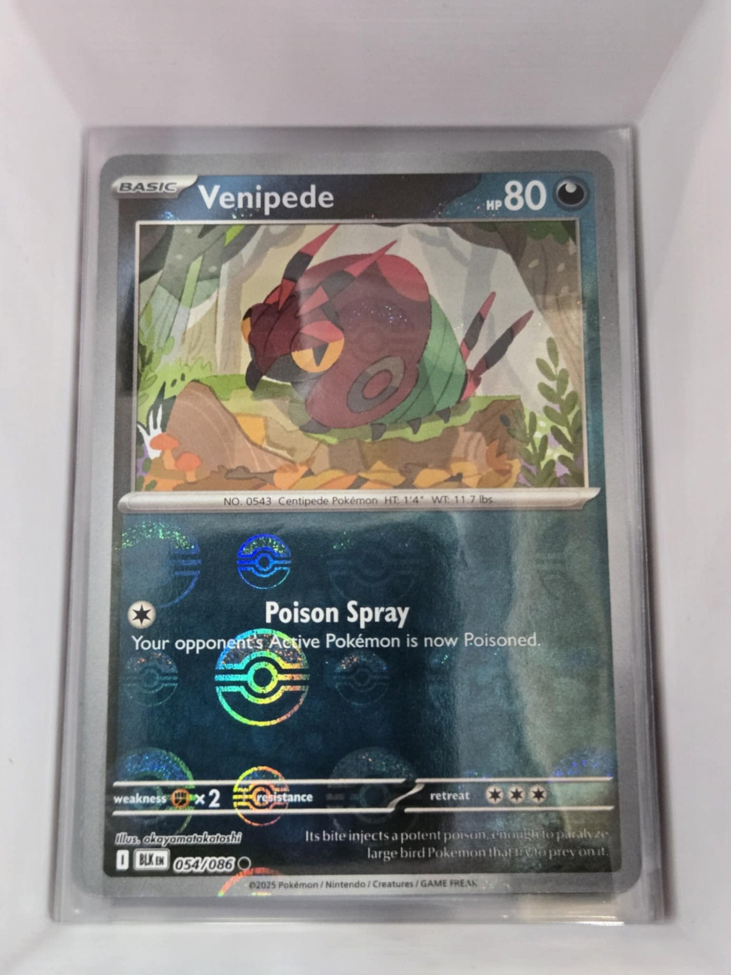 Image of Venipede Black Bolt (BLK) #54