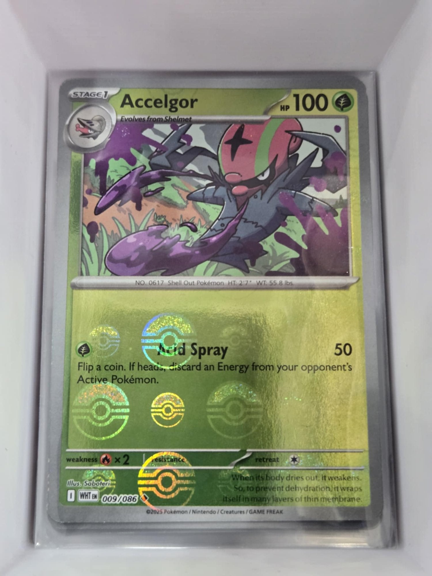 Image of Accelgor White Flare (WHT) #9