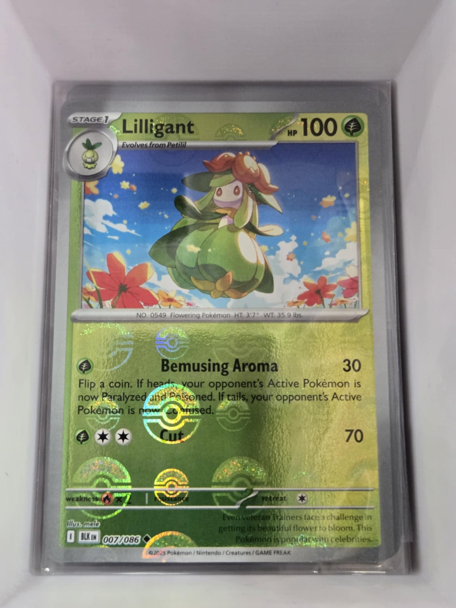 Image of Lilligant Black Bolt (BLK) #7