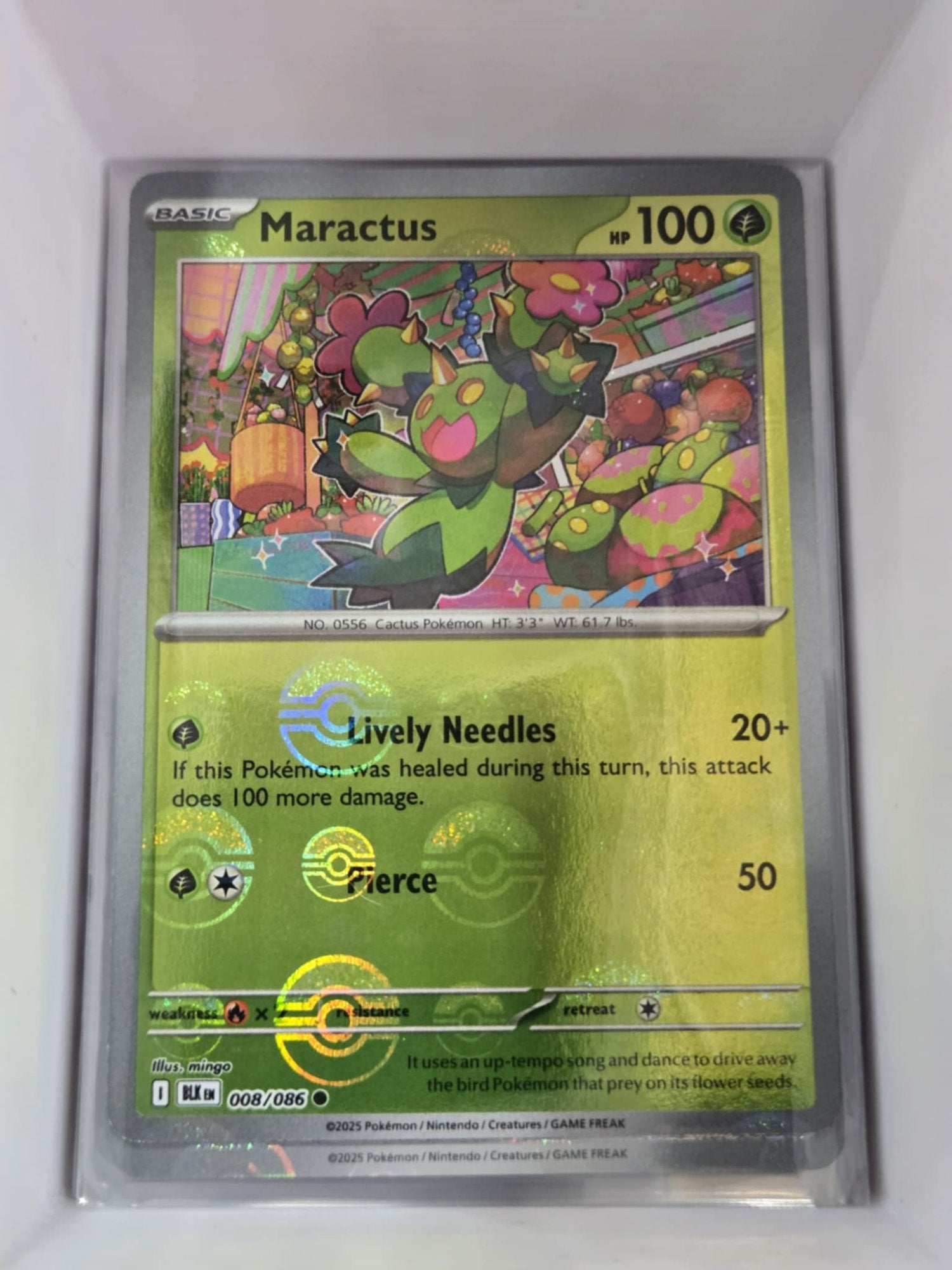 Image of Maractus Black Bolt (BLK) #8