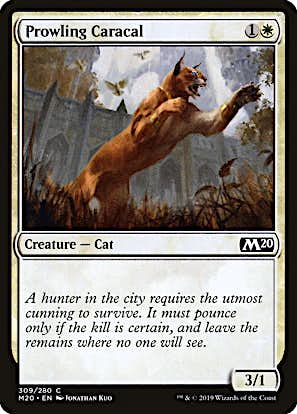 Prowling Caracal #309 Core Set 2020 en