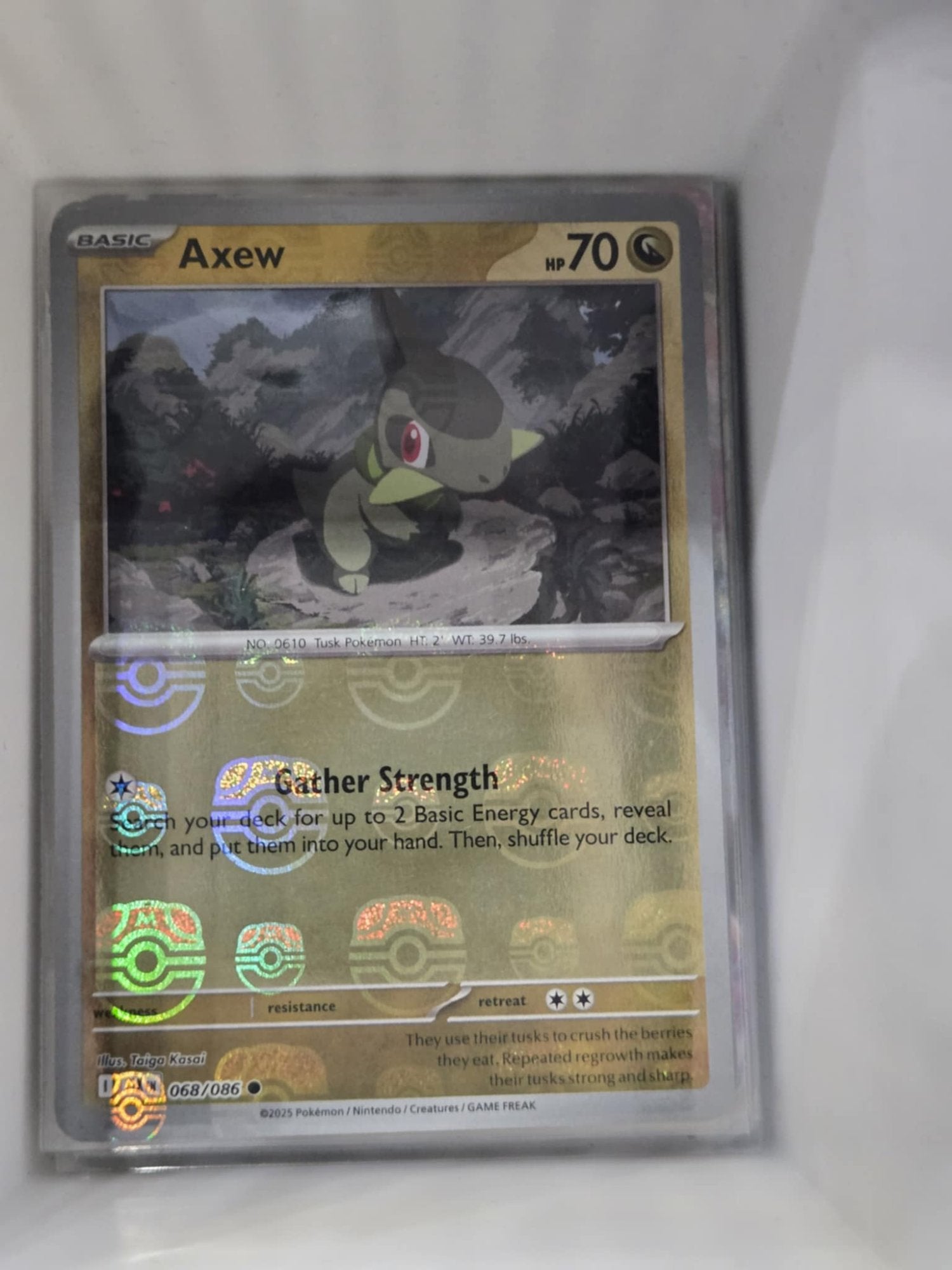 Image of Axew Black Bolt (BLK) #68