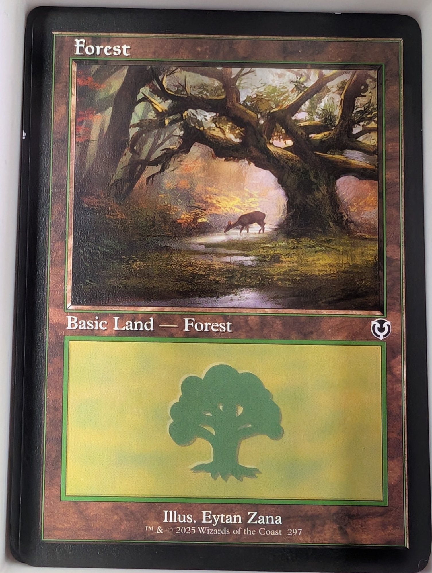 Image of Forest Innistrad Remastered (INR) #297