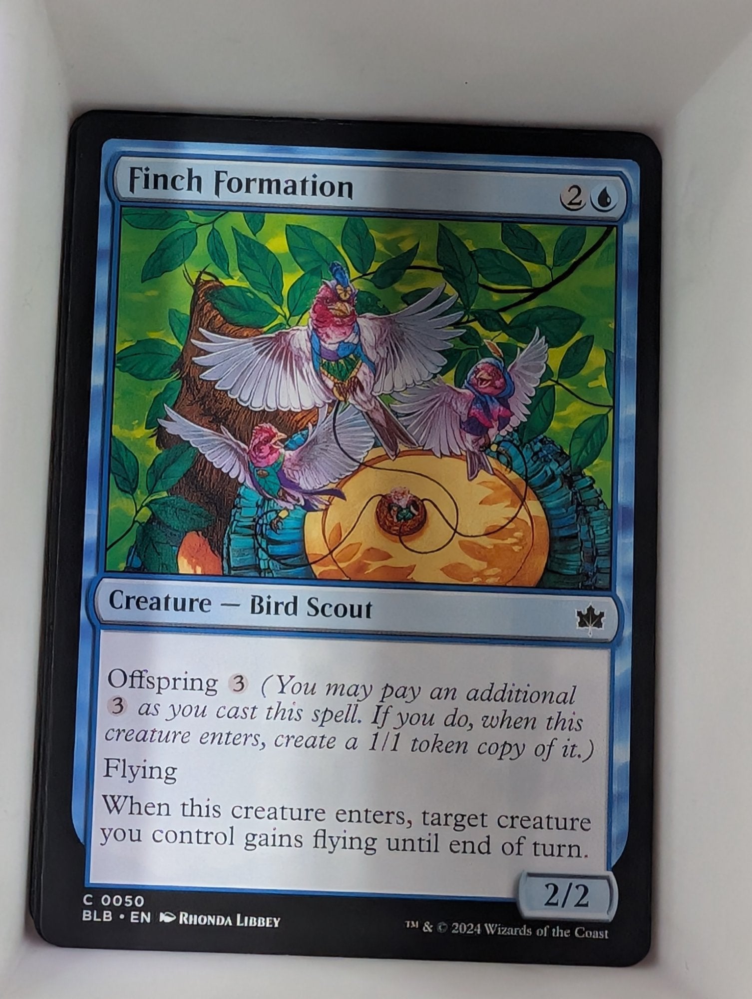 Image of Finch Formation Bloomburrow (blb) #50