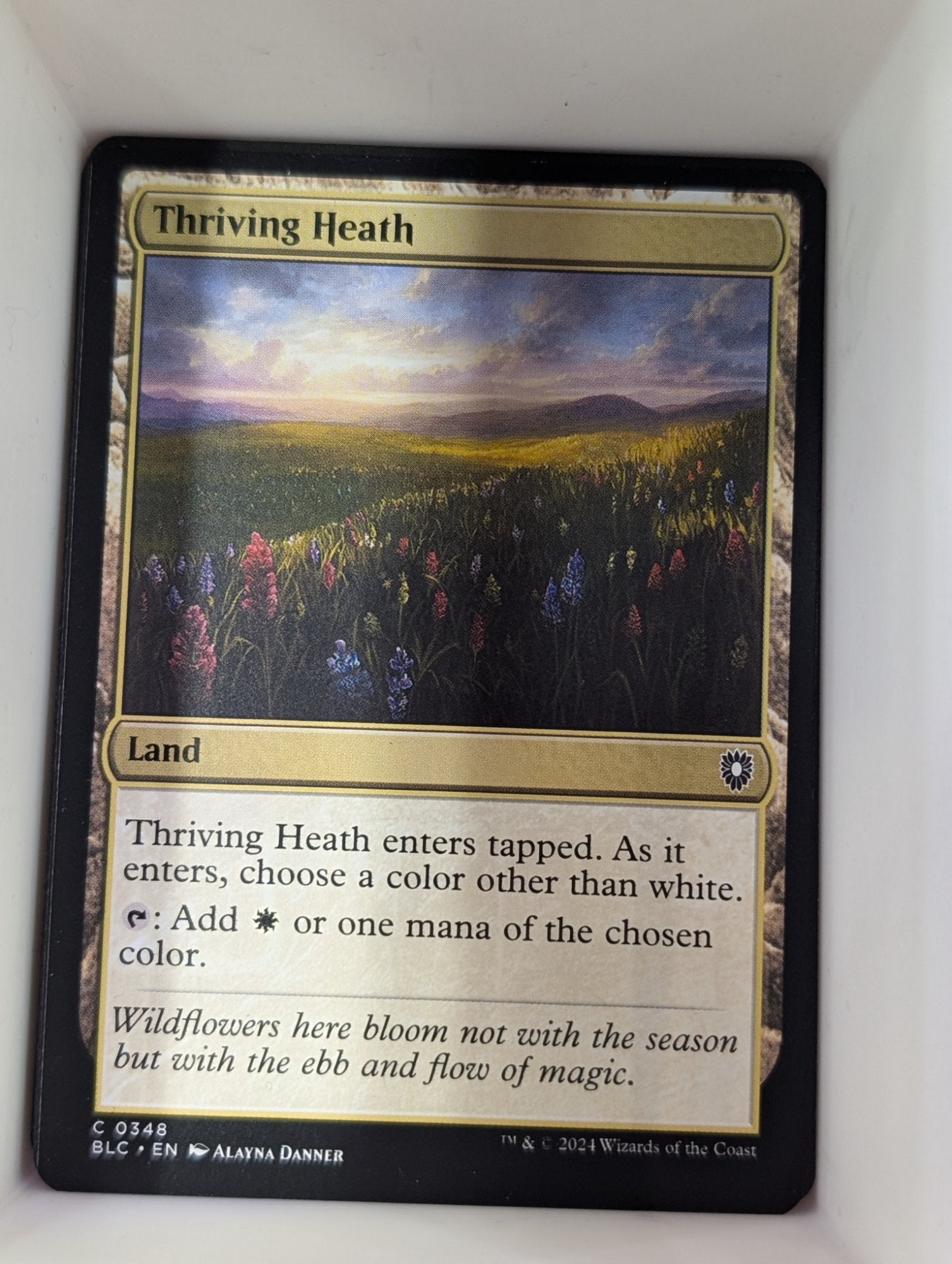 Image of Thriving Heath Commander Masters (cmm) #431