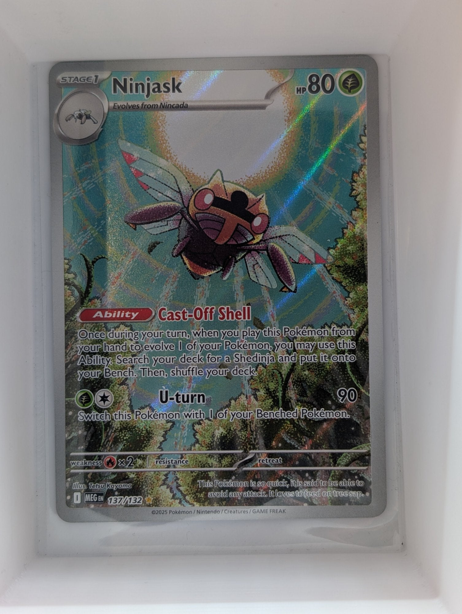 Image of Ninjask Mega Evolution (MEG) #137