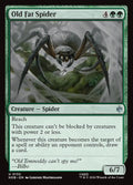 Old Fat Spider