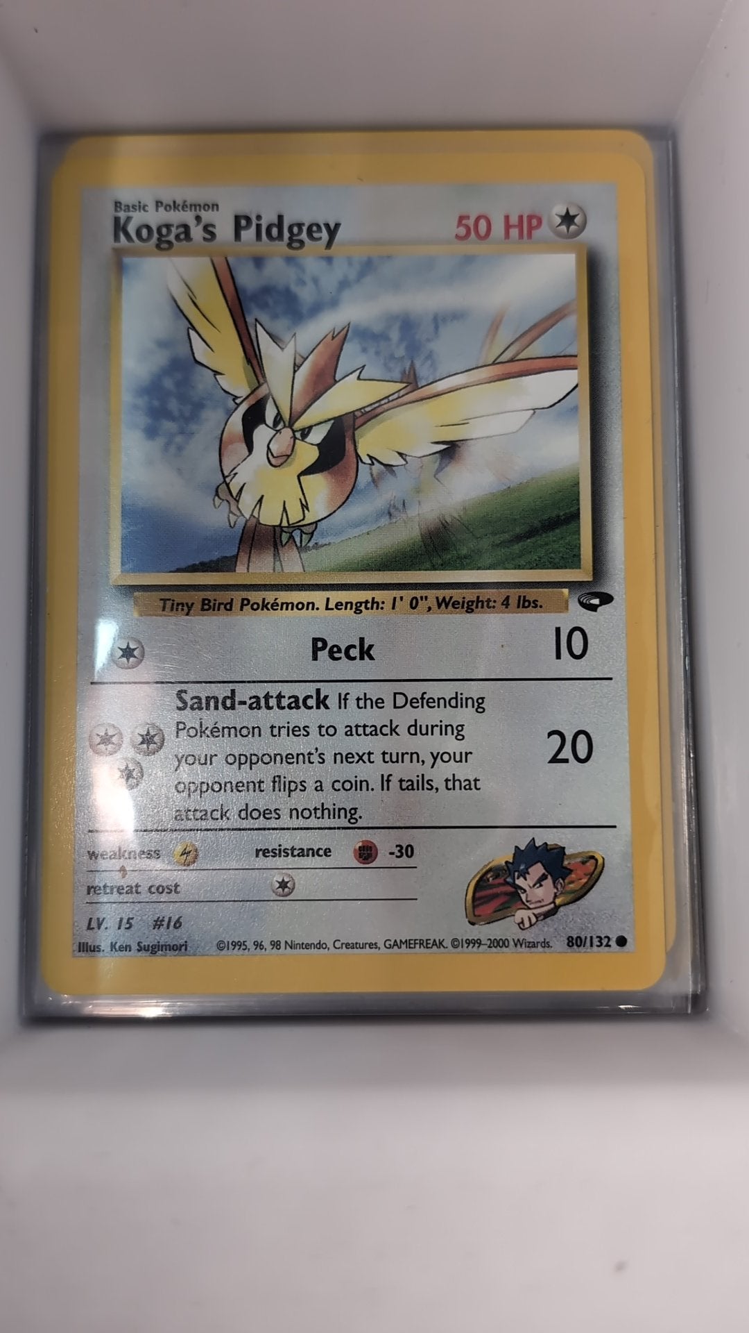 Image of Kogas Pidgey Gym Challenge (G2) #80