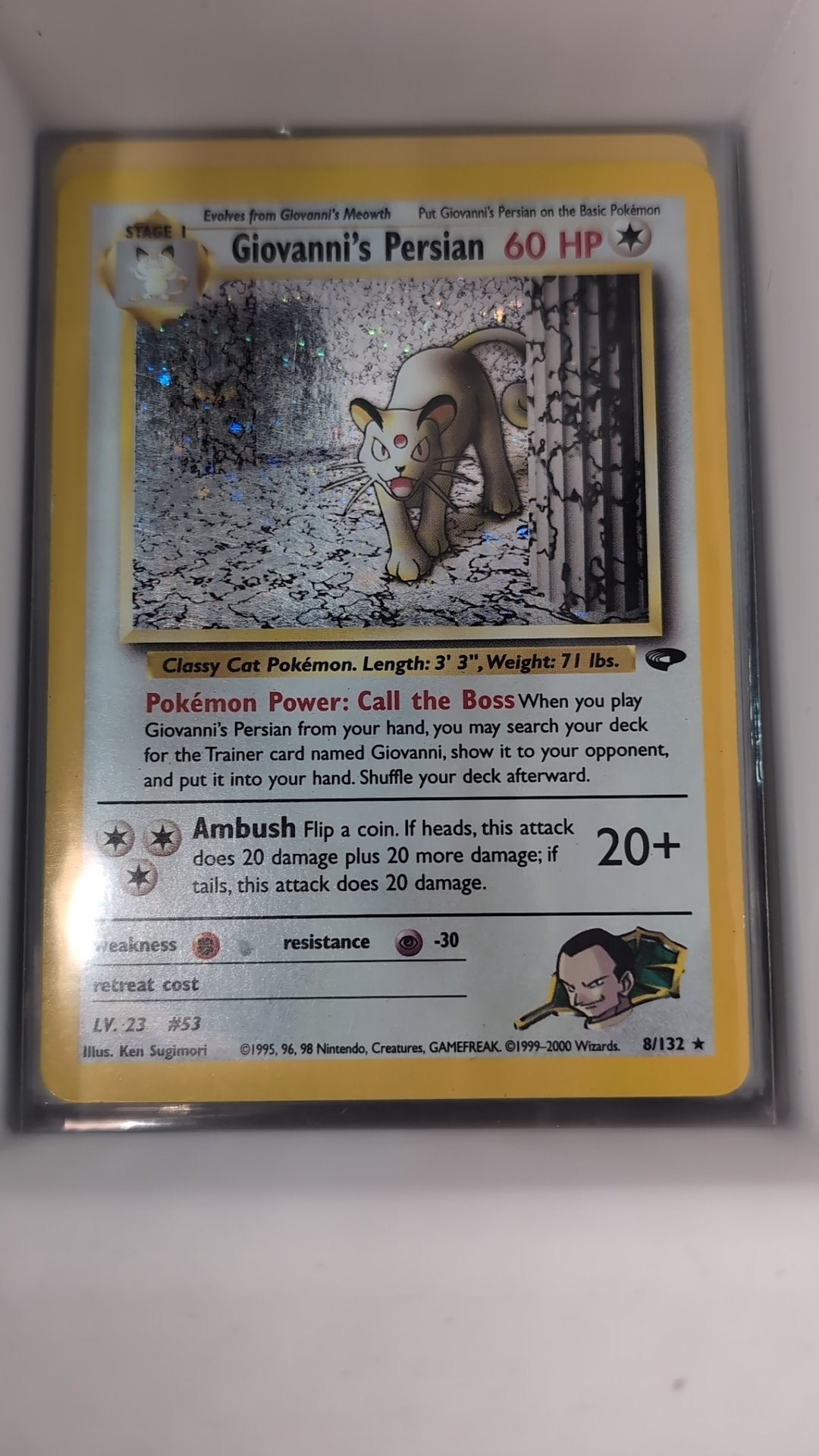 Image of Giovannis Persian Gym Challenge (G2) #8