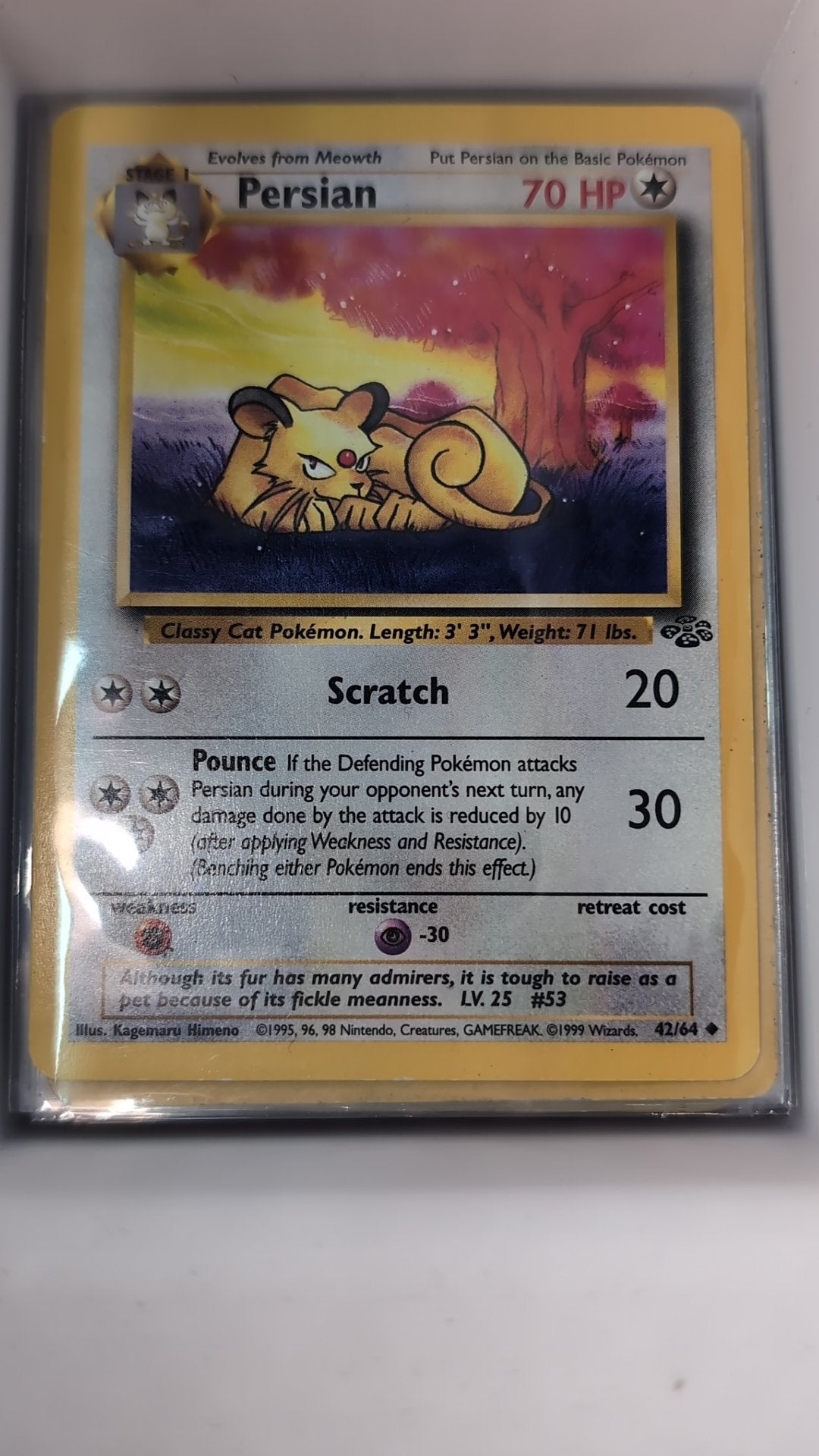 Image of Persian Jungle (JU) #42