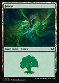 Image of Forest Standard Edition from Edge of Eternities (set EOE)