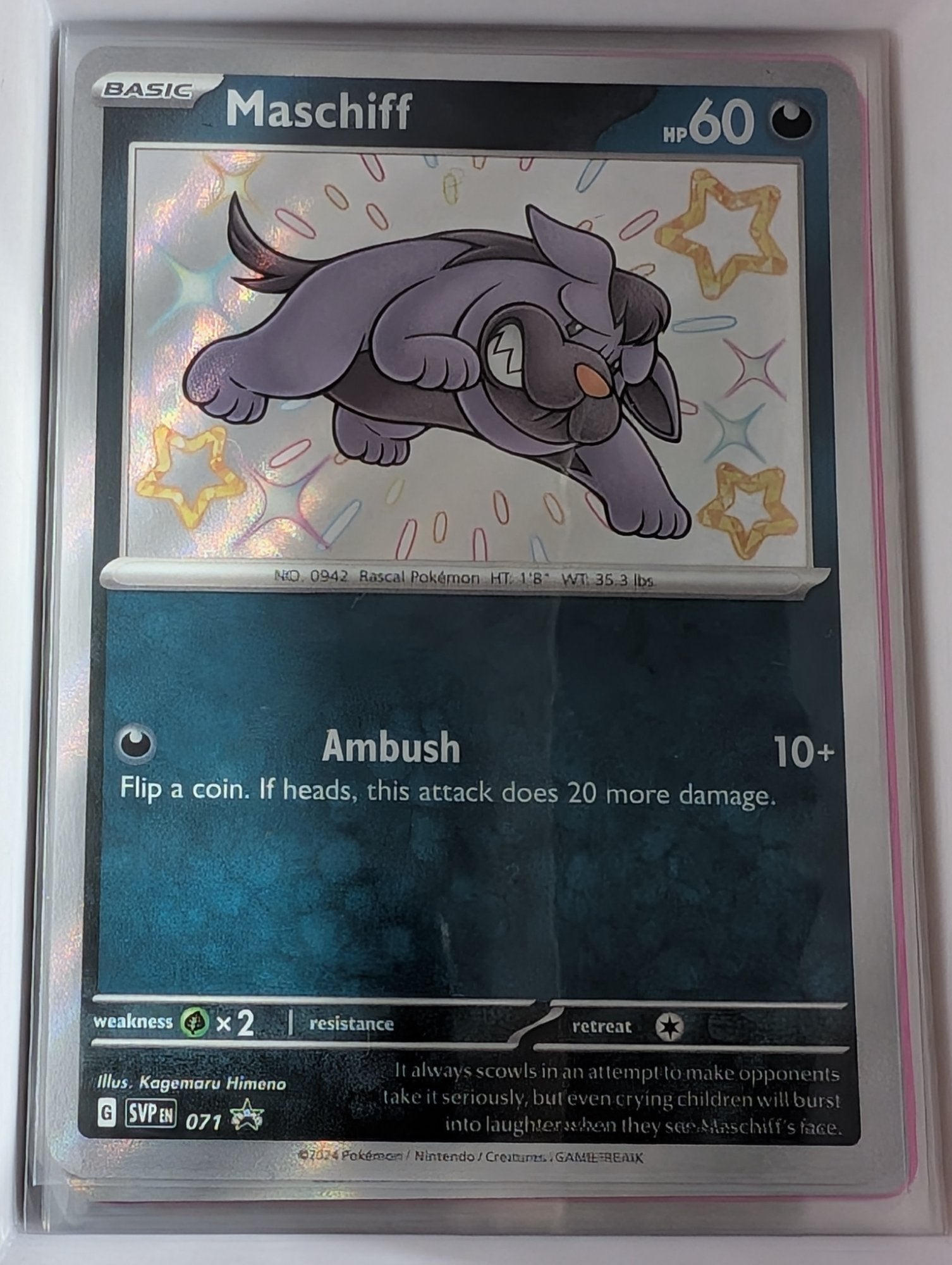 Image of Maschiff Scarlet and Violet Promos (SVP) #71