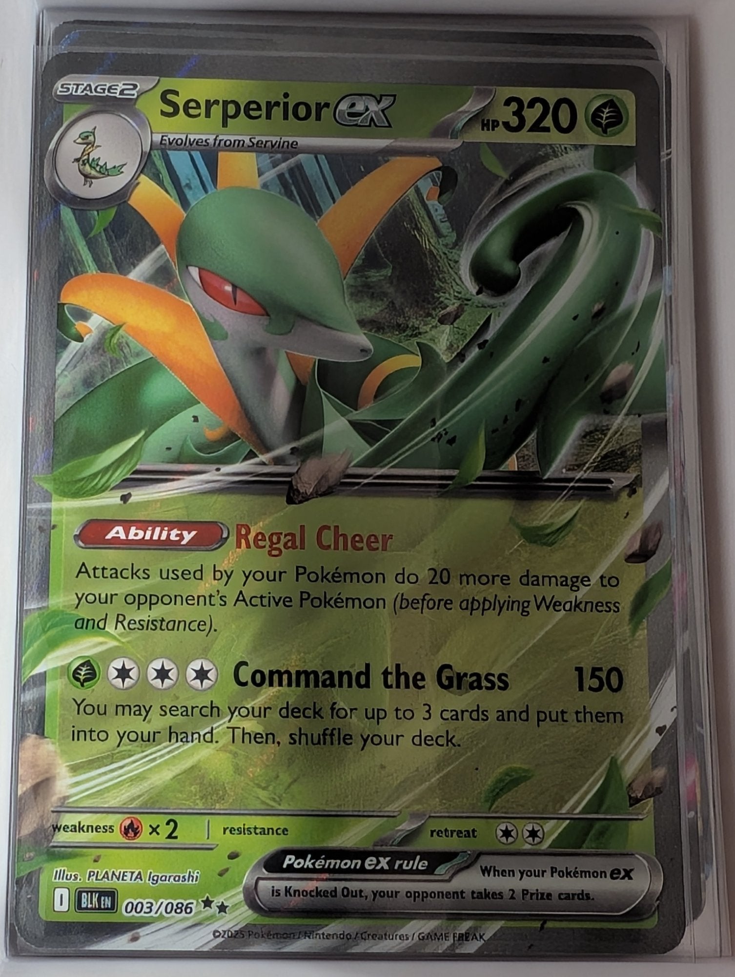 Image of Serperior ex Black Bolt (BLK) #3