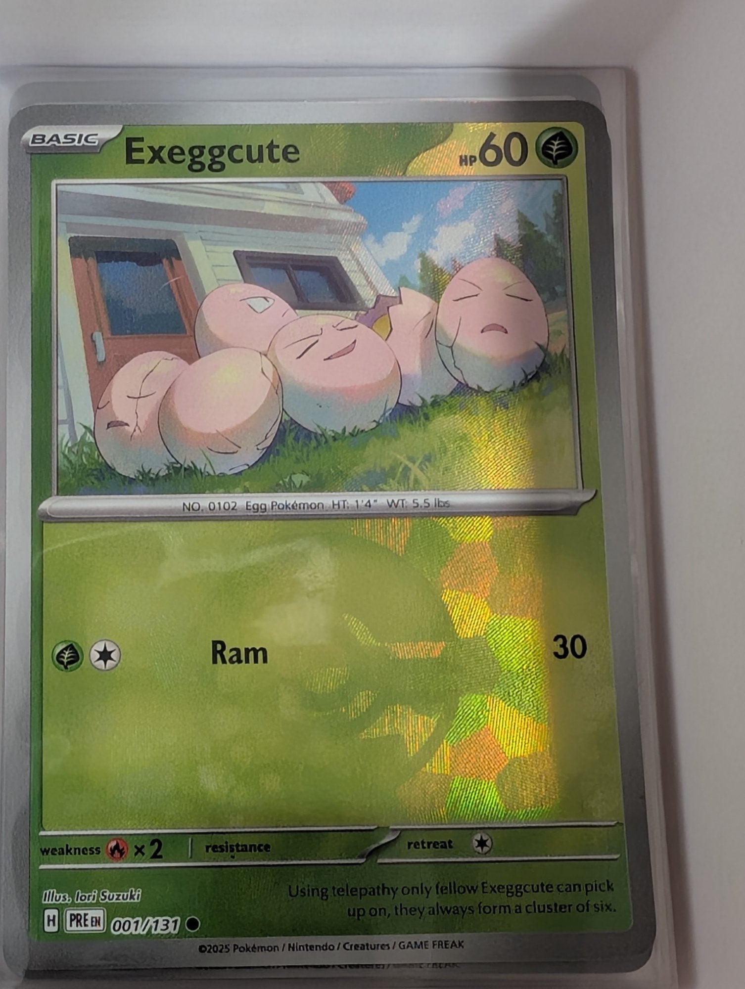 Image of Exeggcute Prismatic Evolutions (PRE) #1