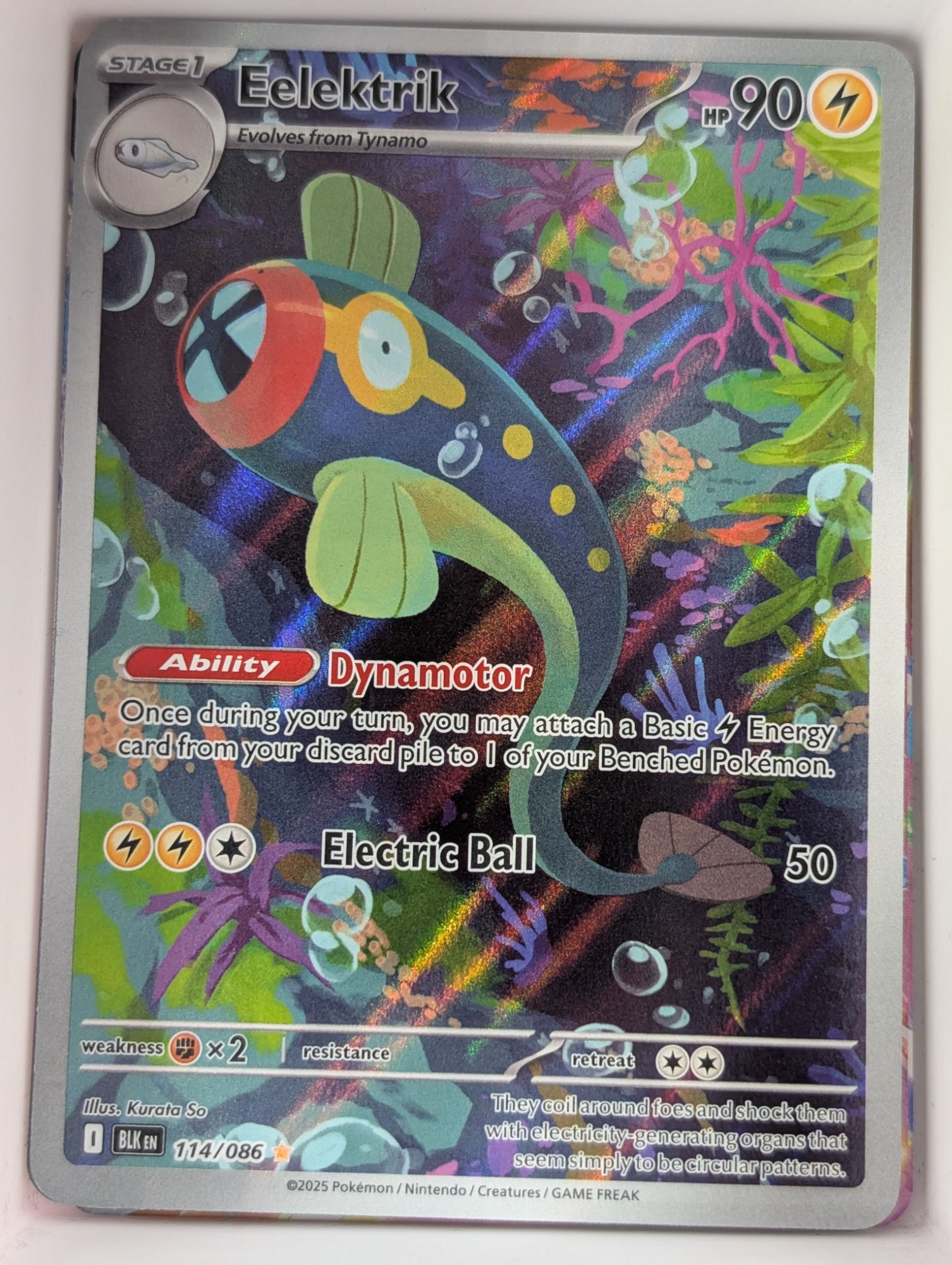 Image of Eelektrik Black Bolt (BLK) #114