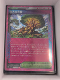 Image of Venerable Tree Stella Miracle (SV7) #101