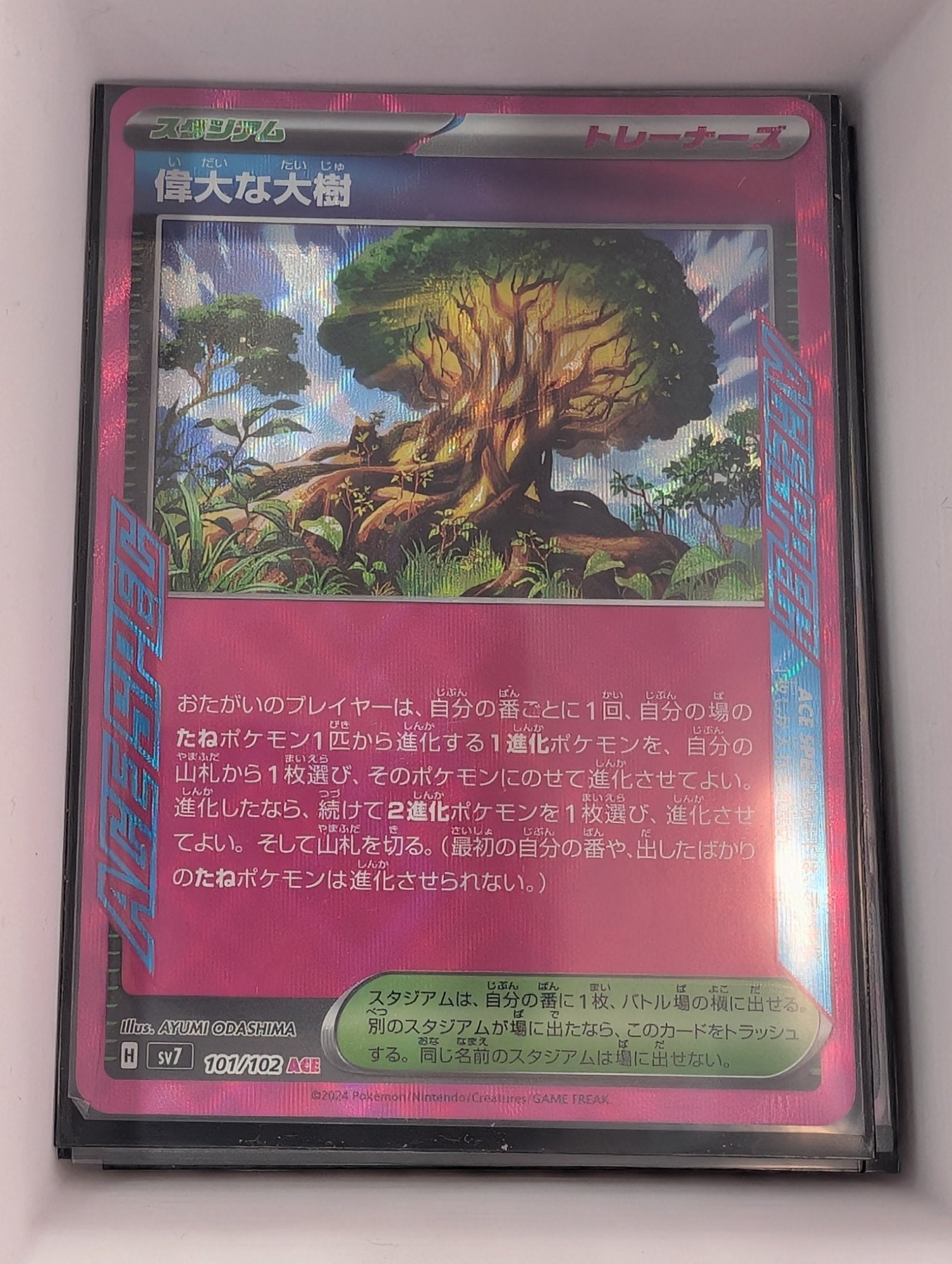 Image of Venerable Tree Stella Miracle (SV7) #101