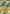 Image of Noivern ex Paldea Evolved (PAL) #153