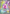 Image of Tinkaton ex Paldea Evolved (PAL) #262