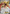 Image of Ho-Oh-EX BREAKpoint (BKP) #92