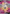 Image of Chandelure V Fusion Strike (FST) #247