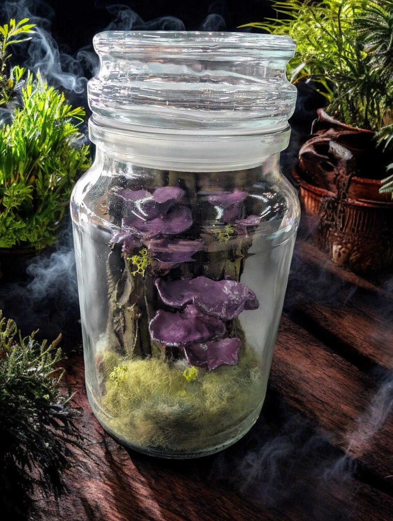 Handmade terrariums - The Murmuring Mystic