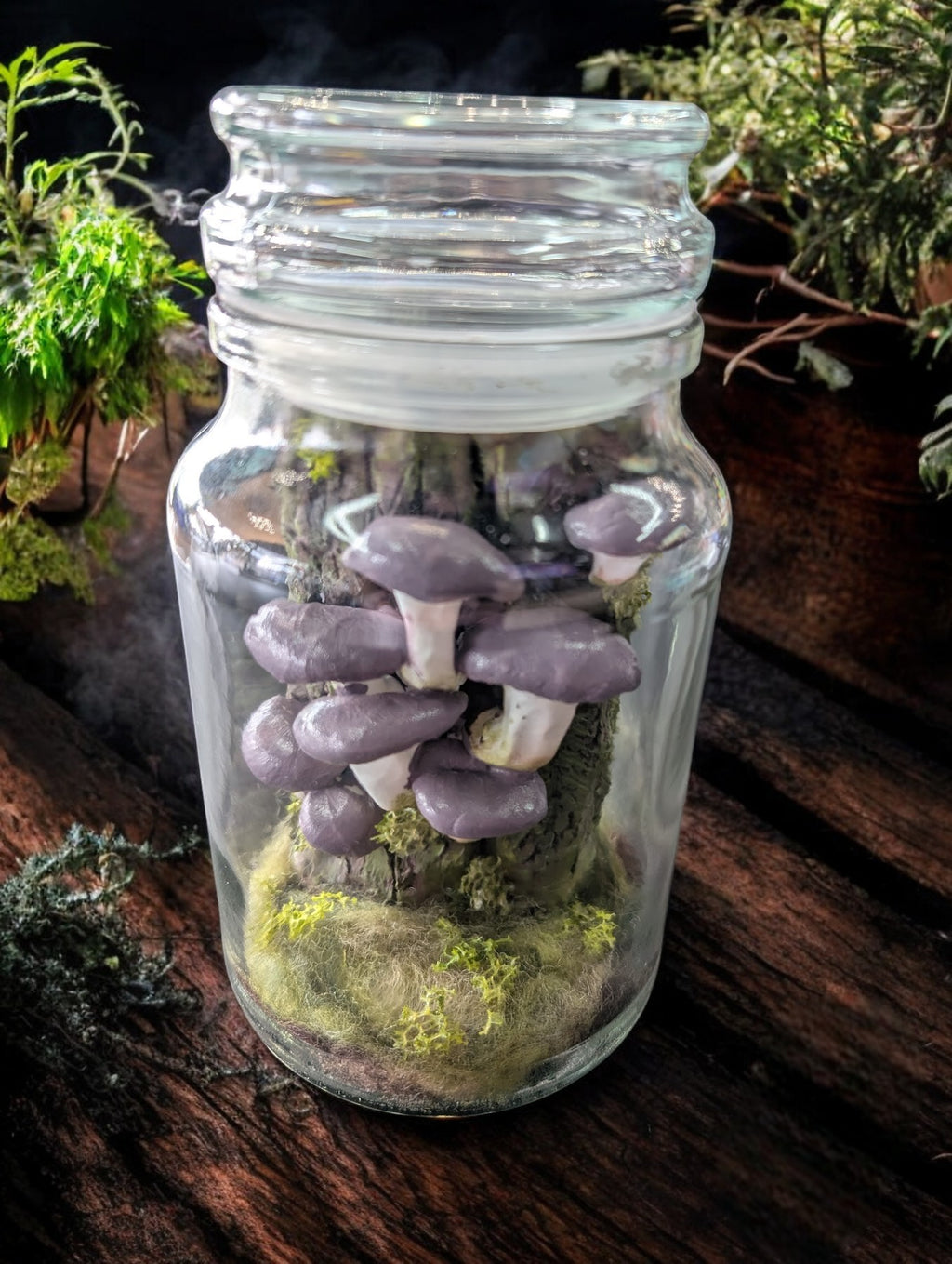 Handmade terrariums - The Murmuring Mystic