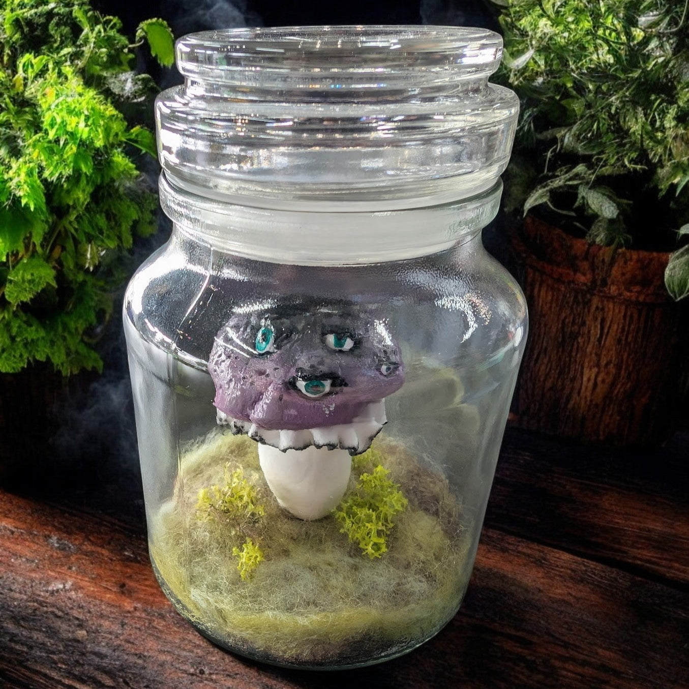 Handmade terrariums - The Murmuring Mystic