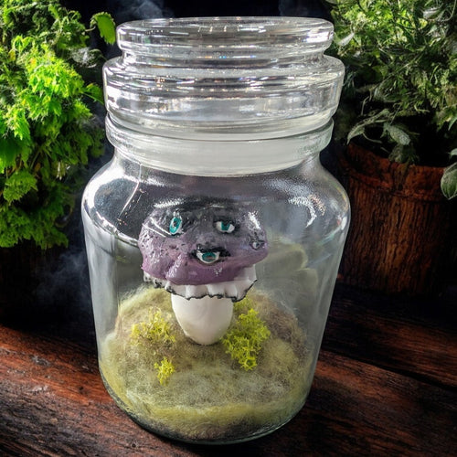 Image of Handmade terrariums - The Murmuring Mystic - Pop Culture Larrikin 