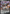 Image of Galarian Perrserker V Lost Origin (LOR) #129
