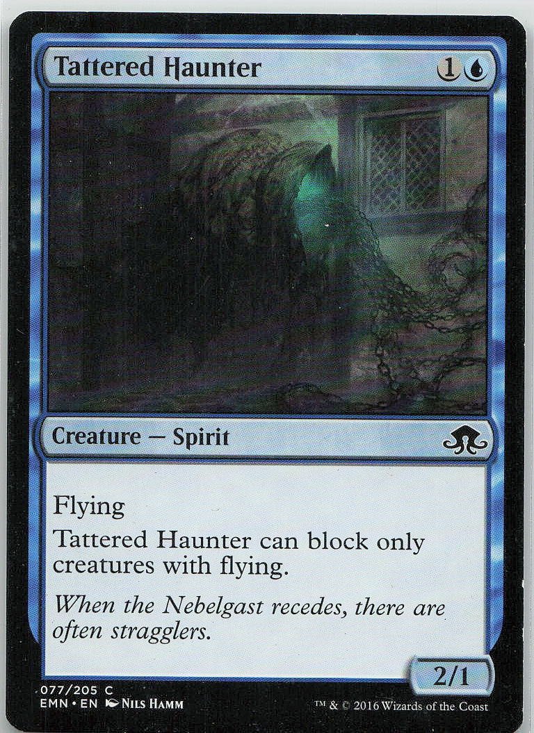 Tattered Haunter
