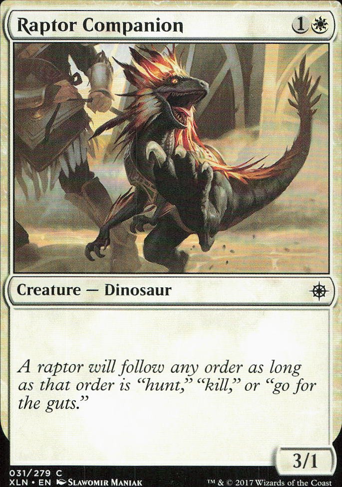 Raptor Companion