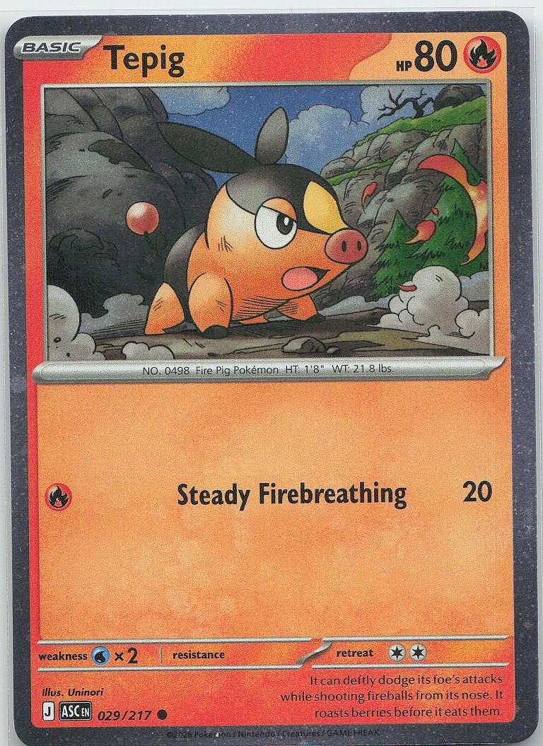 Tepig