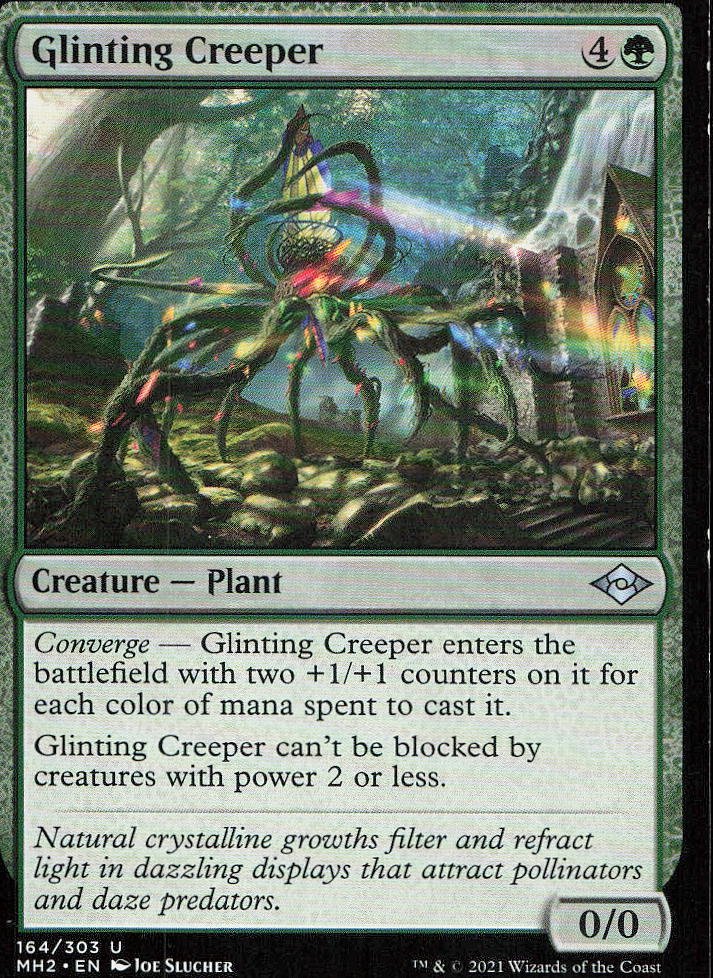 Glinting Creeper