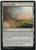 Evolving Wilds