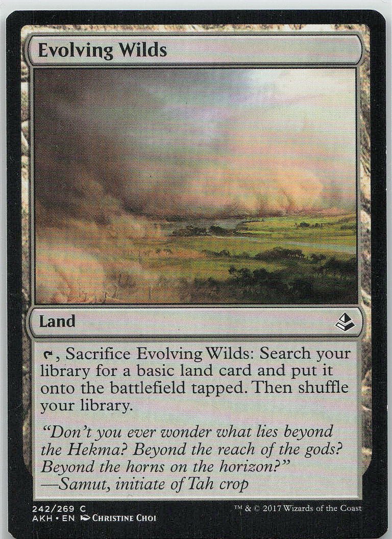 Evolving Wilds