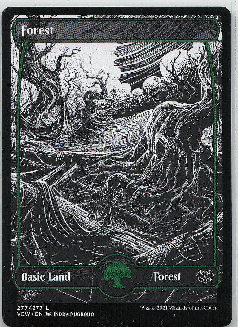 Forest