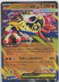 Mega Hawlucha ex