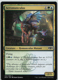 Aeromunculus
