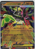 Mega Zygarde ex