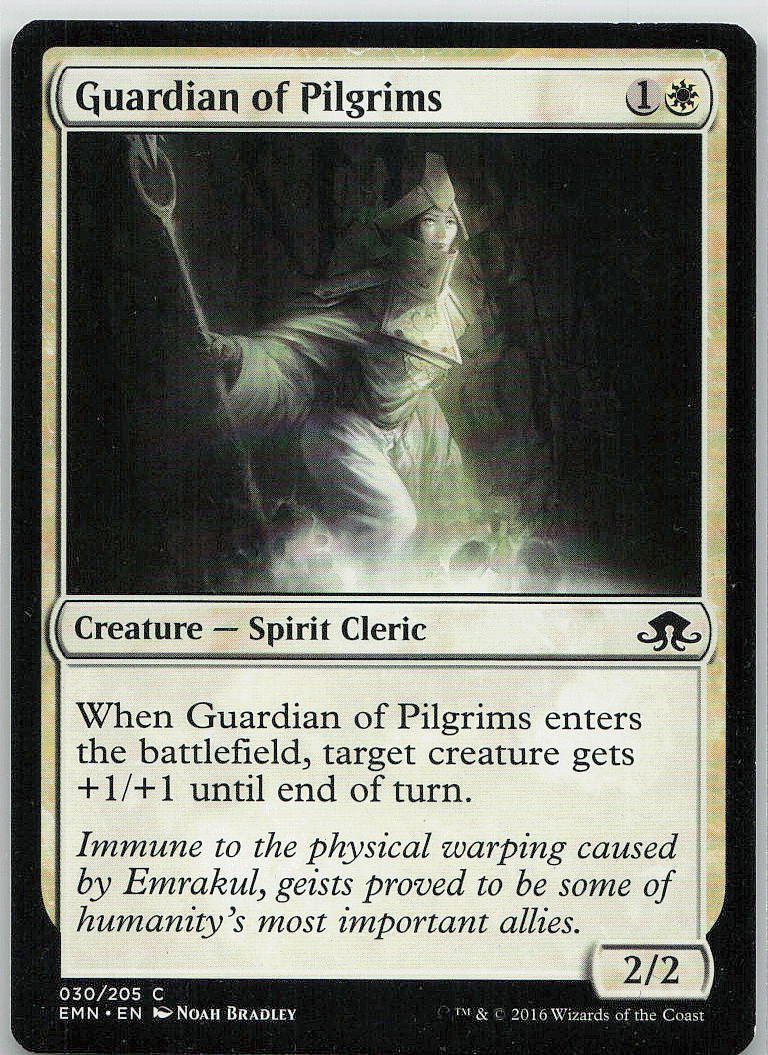 Guardian of Pilgrims